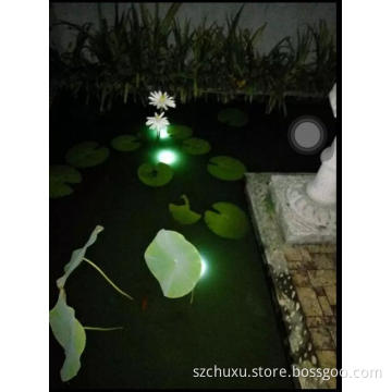Solar RGB Landscape lighting
